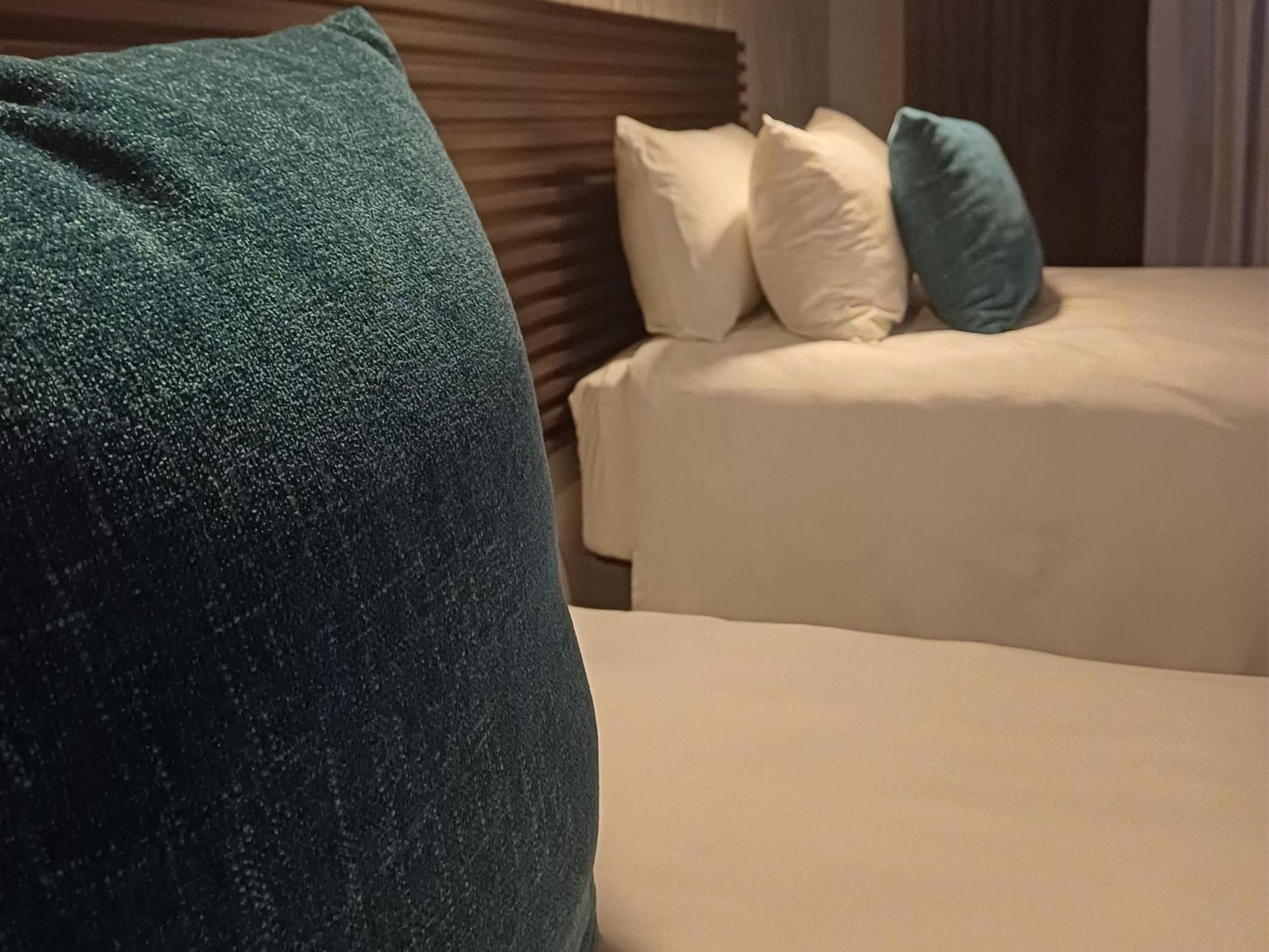 Volksrust Delux Guesthouse מראה חיצוני תמונה